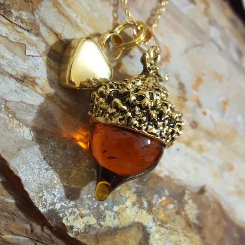 Acorn and heart urn pendant and chain